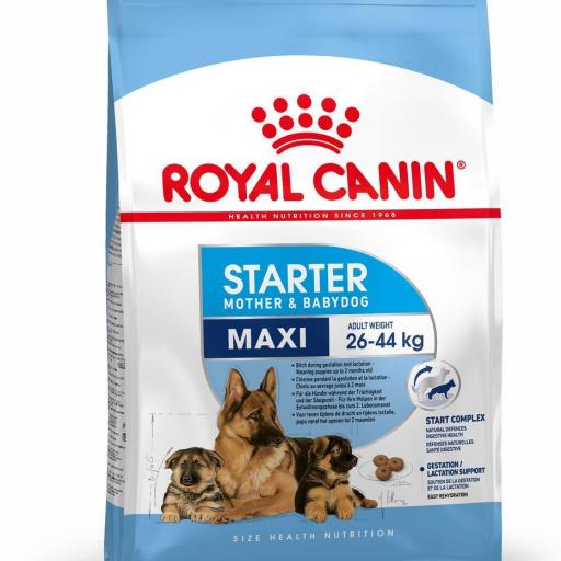 Royal Canin Maxi Starter 4kg [0]