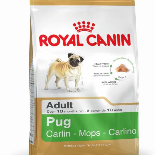 Royal Canin Carlino Adult [0]