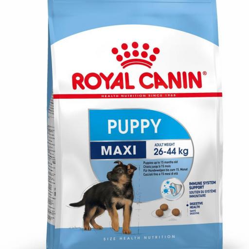 Royal Canin Maxi Puppy (Junior)