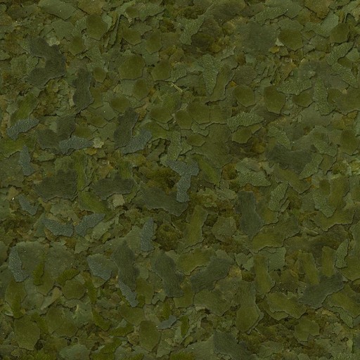 Sera Flora Nature- 60gr [1]