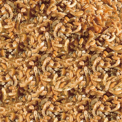 SERA RAFFY I NATURE 1000ml 145g [1]