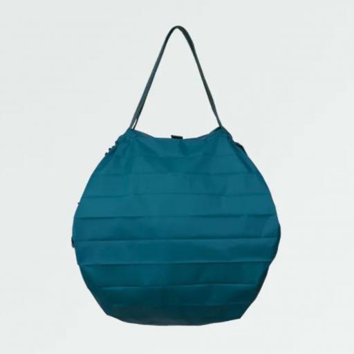 SHUPATTO L EVERGREEN OCEANO