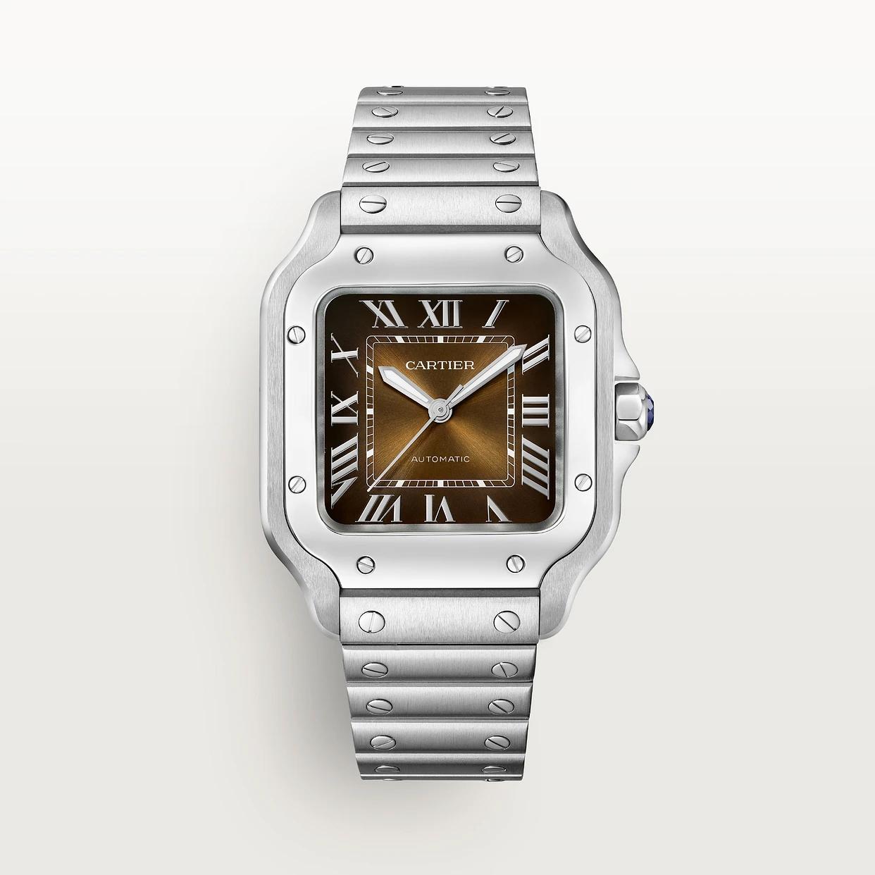 Cartier Santos Mediano WSSA0065