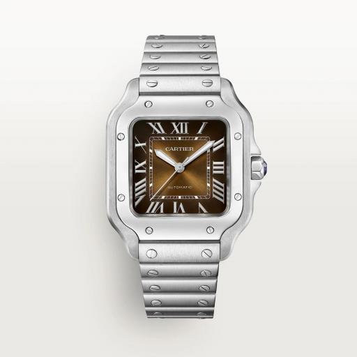 Cartier Santos Mediano WSSA0065
