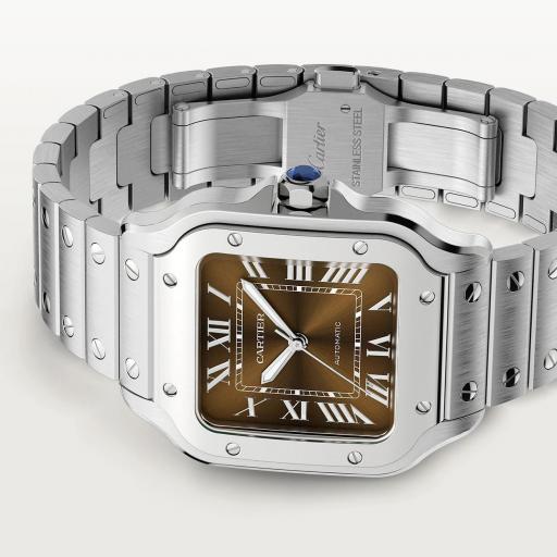 Cartier Santos Mediano WSSA0065 [1]