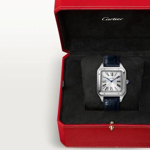 Cartier Santos Dumont XL WSSA0032 [3]