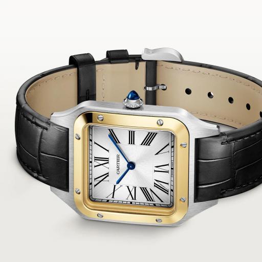 Cartier Santos Dumont XL W2SA0034 [2]