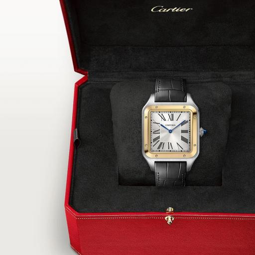 Cartier Santos Dumont XL W2SA0034 [3]