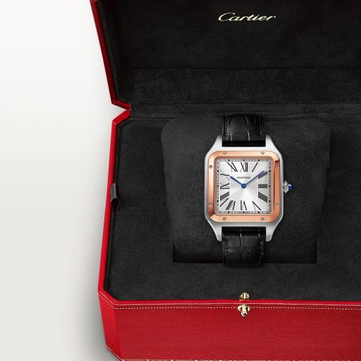 Cartier Santos Dumont XL W2SA0017 [3]