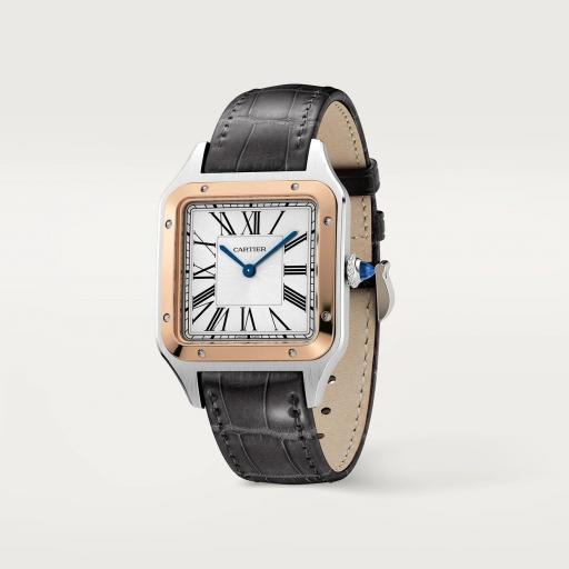 Cartier Santos Dumont Grande W2SA0037 [1]