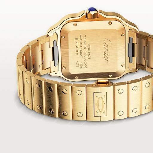 Cartier Santos Grande Oro Amarillo WGSA0042 [1]