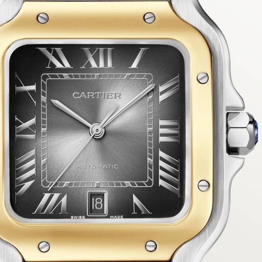 Cartier Santos Grande Oro W2SA0030 [2]
