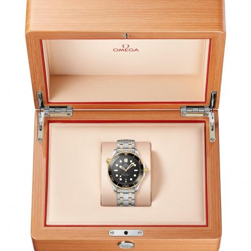 Omega Seamaster Diver 300M 42mm 210.20.42.20.01.002 [3]