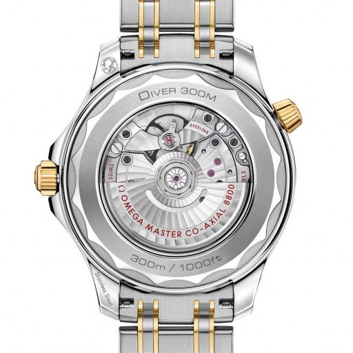 Omega Seamaster Diver 300M 42mm 210.20.42.20.03.001 [1]