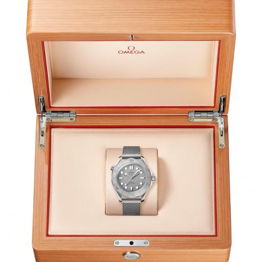 Omega Seamaster Diver 300M 42mm 210.30.42.20.06.002 [3]