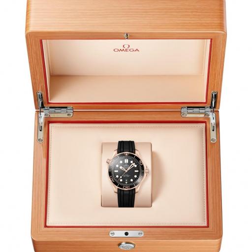 Omega Seamaster Diver 300M 42mm 210.62.42.20.01.002 [3]