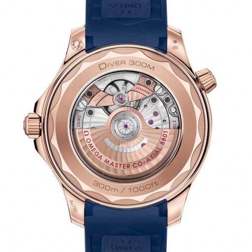 Omega Seamaster Diver 300M 42mm 210.62.42.20.03.001 [1]