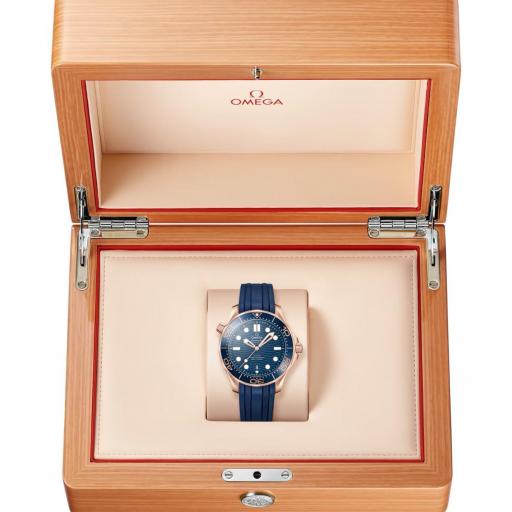 Omega Seamaster Diver 300M 42mm 210.62.42.20.03.001 [2]