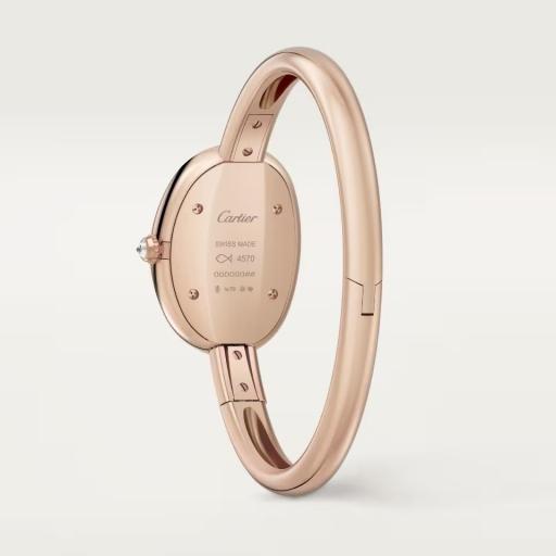 Cartier Baignoire Pequeño T.16 WJBA0042 [1]