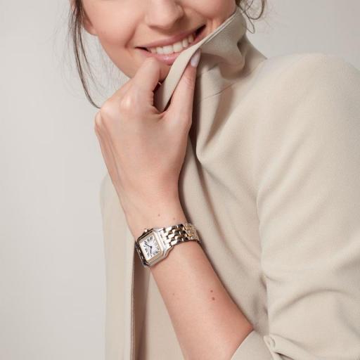 Cartier Panthère Tamaño Mediano W2PN0019 [2]