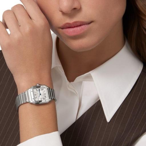 Cartier Santos Pequeño WSSA0082 [2]