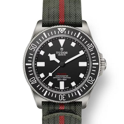 Tudor Pelagos FXD 42mm M25717N-0001 [1]