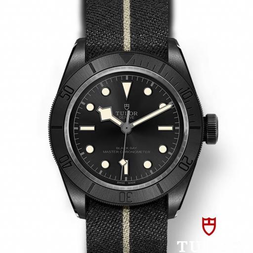 Tudor Black Bay Ceramic 41mm M79210CNU-0001 [1]
