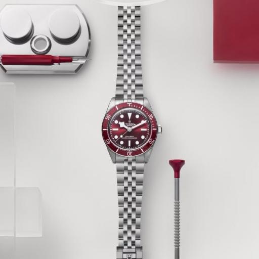 Tudor Black Bay 58 39mm M7939A1A0RU-0001 [3]