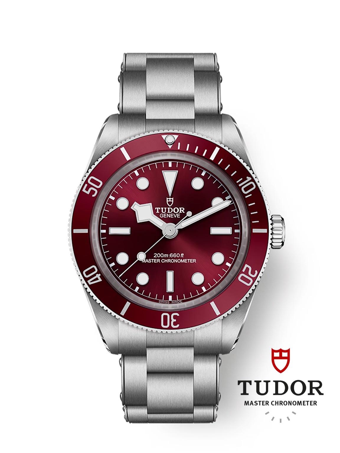 Tudor Black Bay 58 39mm M7939A1A0RU-0002