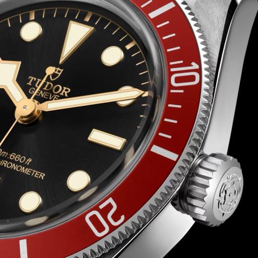 Tudor Black Bay 41mm M7941A1A0RU-0003 [2]