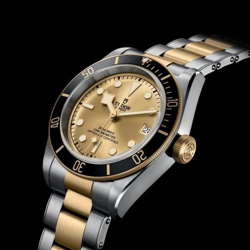 Tudor Black Bay S&G 41mm M79733N-0004 [3]