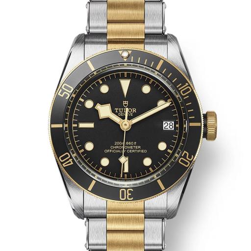 Tudor Black Bay S&G 41mm M79733N-0008
