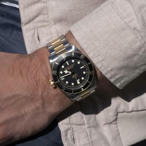 Tudor Black Bay S&G 41mm M79733N-0008 [2]