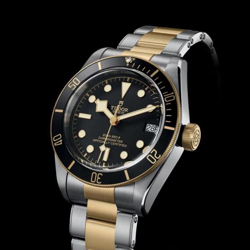 Tudor Black Bay S&G 41mm M79733N-0008 [3]