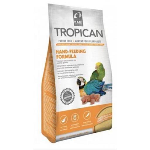 papilla_loros_tropican
