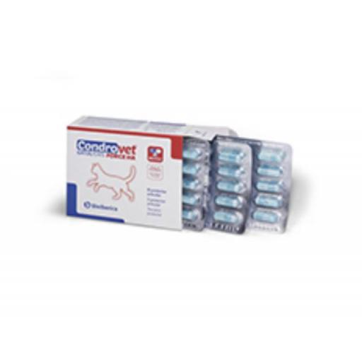condroprotector_capsulas_gato_condrovet_force