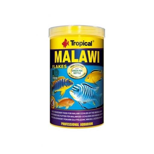 alimento_ciclidos_escamas_lago_malawi_tropical_peces_agua_dulce