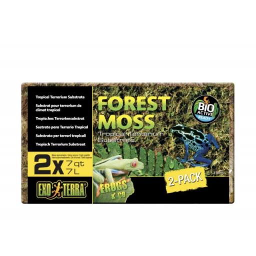musgo_natural_terrario_exoterra_forest_moss [0]
