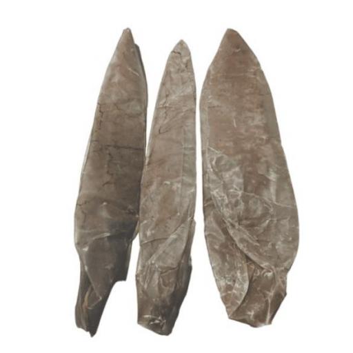 mordedor_natural_perro_vejiga_bufalo