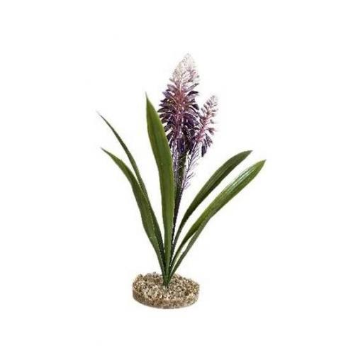 planta_decorativa_aloe_flor_terrario_reptiles [0]