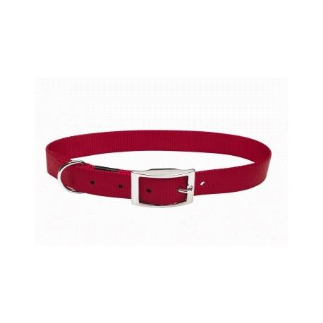 collar_nylon_liso_hebilla_perro