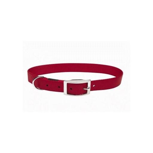 collar_nylon_liso_hebilla_perro