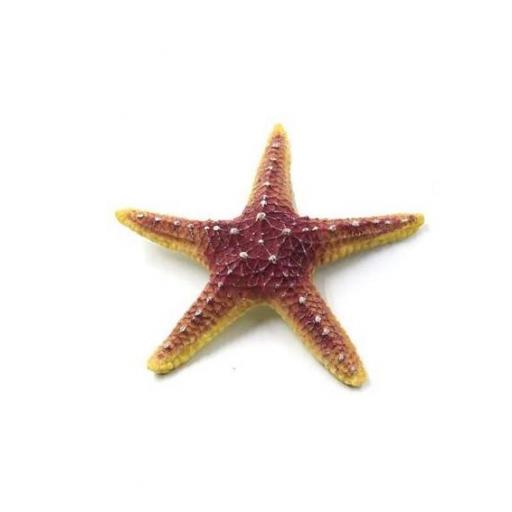 Estrella de mar decorativa para acuarios
