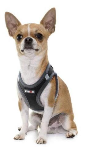 Arnes de neopreno para perros XTDOG