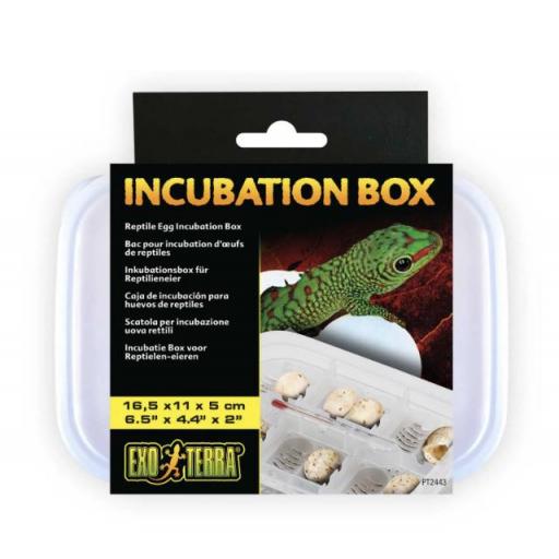 caja_incubacion_huevos_reptil_exoterra