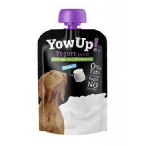 yogurt_perros_yowup [0]