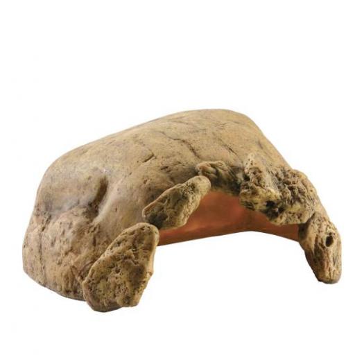 cueva_grande_tortugas_tierra_exoterra [0]