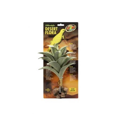 silver_mullein_planta_zoomed_terrario_desertico_flora_desert [0]