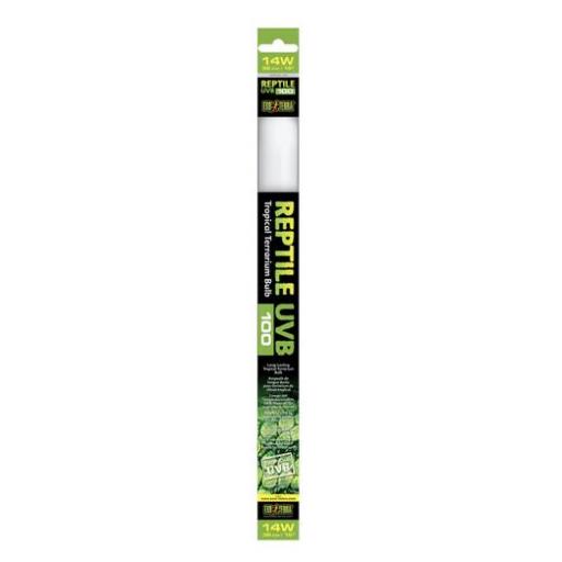 fluorescente_reptiles_terrario_t5_exoterra_uvb100