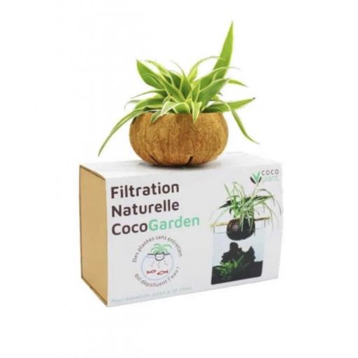 filtracion_natural_acuario_pequeño_cocoplant